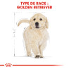 Royal canin Croquettes pour Chien - Golden Retriever - Chiot Faunelia