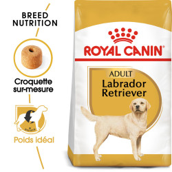 Croquettes pour Chien - Labrador Retriever - Adulte