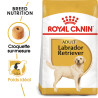 Royal canin Croquettes pour Chien - Labrador Retriever - Adulte Faunelia