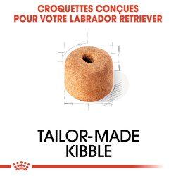 Royal canin Croquettes pour Chien - Labrador Retriever - Adulte Faunelia