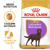 Royal canin Croquettes pour Chien - Labrador Retriever - Adulte, Stérilié Faunelia