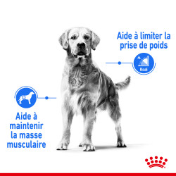 Royal canin Croquettes - Chien - Maxi - Light Weight Care Faunelia