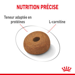 Royal canin Croquettes - Chien - Maxi - Light Weight Care Faunelia