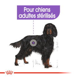 Royal canin Croquettes - Chien - Maxi - Adulte, Stérilisé Faunelia