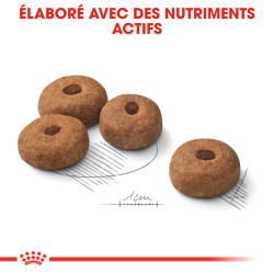 Royal canin Croquettes - Chien - Maxi - Adulte, Stérilisé Faunelia