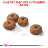 Royal canin Croquettes - Chien - Maxi - Adulte, Stérilisé Faunelia