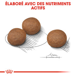 Royal canin Croquettes - Chien - Medium - Digestive Care - Adulte, Mature Faunelia