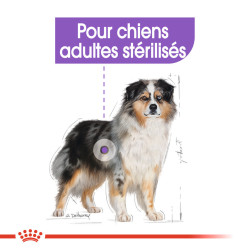 Royal canin Croquettes - Chien - Medium - Adulte, Stérilsé Faunelia