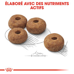 Royal canin Croquettes - Chien - Medium - Adulte, Stérilsé Faunelia