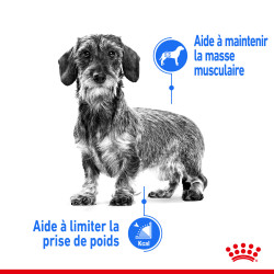 Royal canin Croquettes - Chien - Mini - Light Weight Care Faunelia