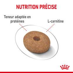 Royal canin Croquettes - Chien - Mini - Light Weight Care Faunelia