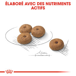 Royal canin Croquettes - Chien - Mini - Adulte, Stérilisé Faunelia