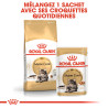 Royal canin Croquettes - Chat - Maine Coon - Adulte Faunelia