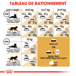 Royal canin Croquettes - Chat - Maine Coon - Adulte Faunelia