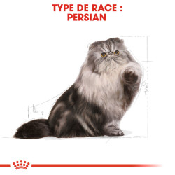 Royal canin Croquettes - Chat - Persian - Adulte Faunelia