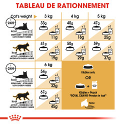 Royal canin Croquettes - Chat - Persian - Adulte Faunelia