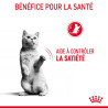 Royal canin Croquettes - Chat - Appetite Control Faunelia