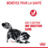 Royal canin Croquettes - Chat - Digestive Care Faunelia