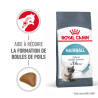 Royal canin Croquettes - Chat - Hairball Care Faunelia