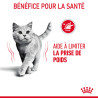 Royal canin Croquettes - Chat - Light Weight Faunelia