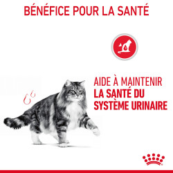 Royal canin Croquettes - Chat - Urinary Faunelia