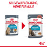 Royal canin Emincé en sauce - Chat - Urinary Care Faunelia