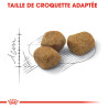 Royal canin Croquettes pour Chat - REGULAR FIT32 Faunelia