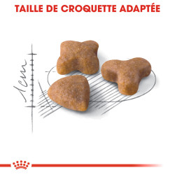 Royal canin Croquettes pour Chat - Sensible 33 Faunelia