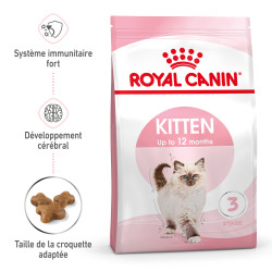 Royal canin Croquettes pour Chaton - Stage 3 Faunelia