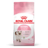 Royal canin Croquettes pour Chaton - Stage 3 Faunelia