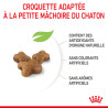 Royal canin Croquettes pour Chaton - Stage 3 Faunelia