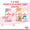 Royal canin Croquettes pour Chaton - Stage 3 Faunelia