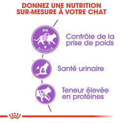 Royal canin Croquettes pour Chat - Stérilisé 37 Faunelia