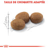 Royal canin Croquettes pour Chat - Stérilisé 37 Faunelia