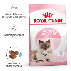 Royal canin Croquettes pour Chaton - Stage 2 - Mother & BabyCat Faunelia