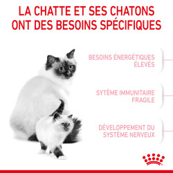 Royal canin Croquettes pour Chaton - Stage 2 - Mother & BabyCat Faunelia