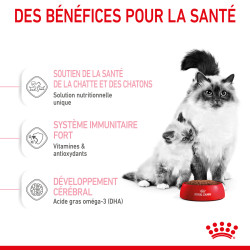 Royal canin Croquettes pour Chaton - Stage 2 - Mother & BabyCat Faunelia