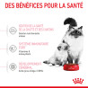 Royal canin Croquettes pour Chaton - Stage 2 - Mother & BabyCat Faunelia