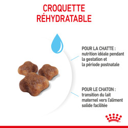 Royal canin Croquettes pour Chaton - Stage 2 - Mother & BabyCat Faunelia