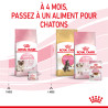 Royal canin Croquettes pour Chaton - Stage 2 - Mother & BabyCat Faunelia