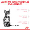 Royal canin Croquettes pour Chaton - Stage 4 - Stérilisé Faunelia