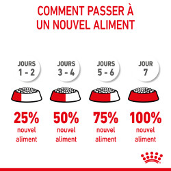 Royal canin Croquettes pour Chaton - Stage 4 - Stérilisé Faunelia