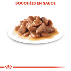 Royal canin Bouchées en sauce - Chat - AGEING12+ Faunelia