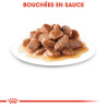 Royal canin Bouchées en sauce - Chat - AGEING12+ Faunelia