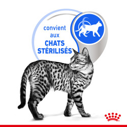 Royal canin Bouchées en sauce - Chat, Stérilisé - INDOOR Faunelia