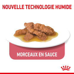 Royal canin Bouchées en sauce - Chat, Stérilisé - INDOOR Faunelia