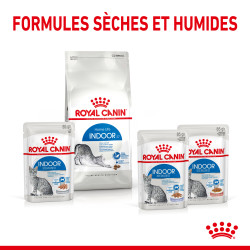 Royal canin Bouchées en sauce - Chat, Stérilisé - INDOOR Faunelia