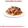 Royal canin Bouchées en sauce - Chat - INSTINCTIVE Faunelia