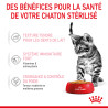 Royal canin Bouchées en gelée - Chaton, Stérilisé Faunelia