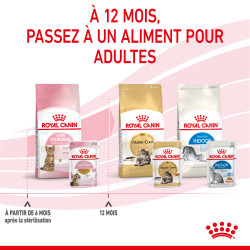 Royal canin Bouchées en gelée - Chaton, Stérilisé Faunelia